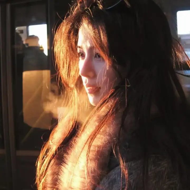 吐崽子