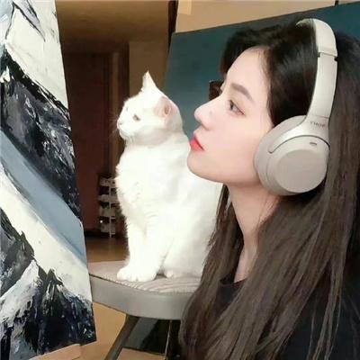 鸡同鸭讲